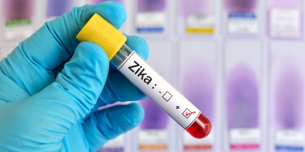 Zika vírus